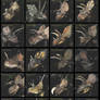 Ceratopsians Part 1