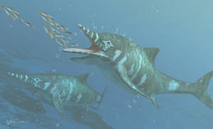 Platypterygius australis