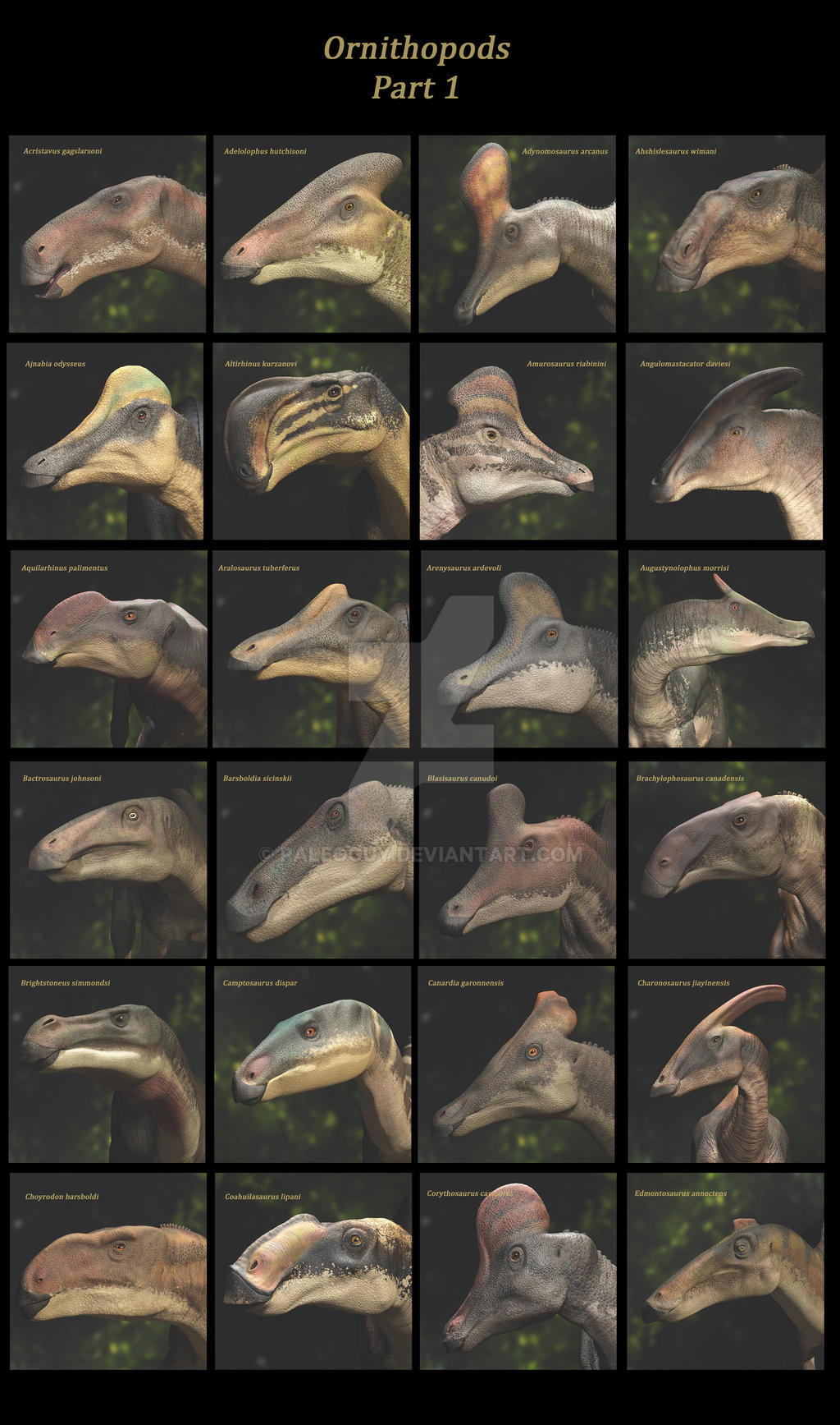 Ornithopods Part 1