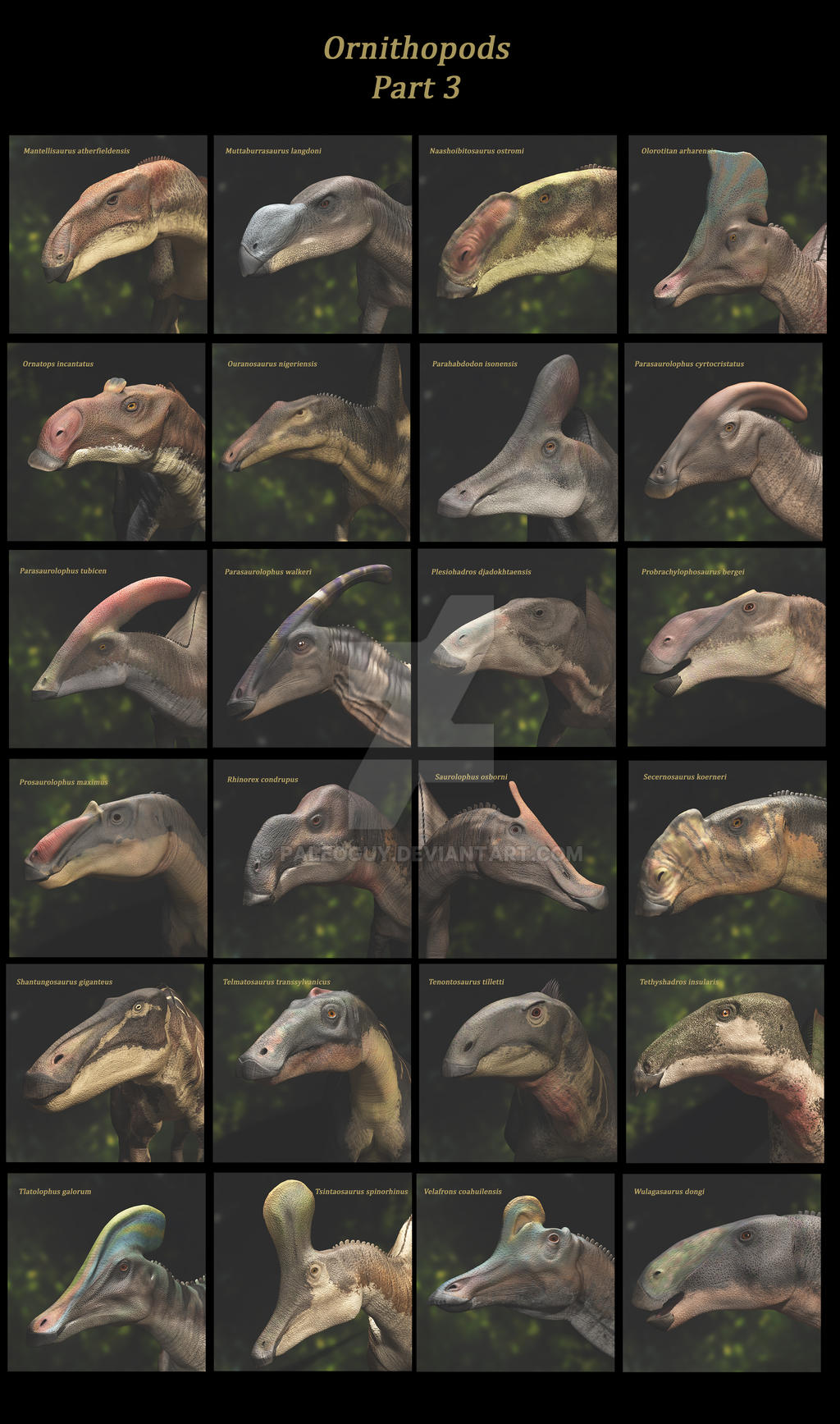 Ornithopods Part 3