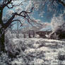 old barn IR