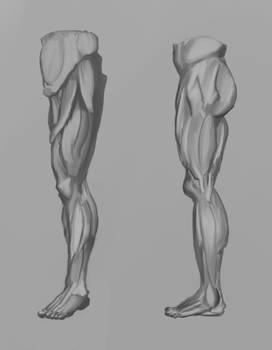 Leg Value Study