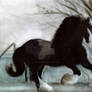 Shire Stallion Watercolor