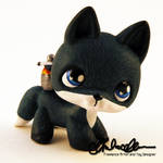 Foxicopter custom Littlest Pet Shop by thatg33kgirl