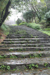 Staircase To Waterfall