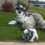 Zener - Realistic Full Fursuit