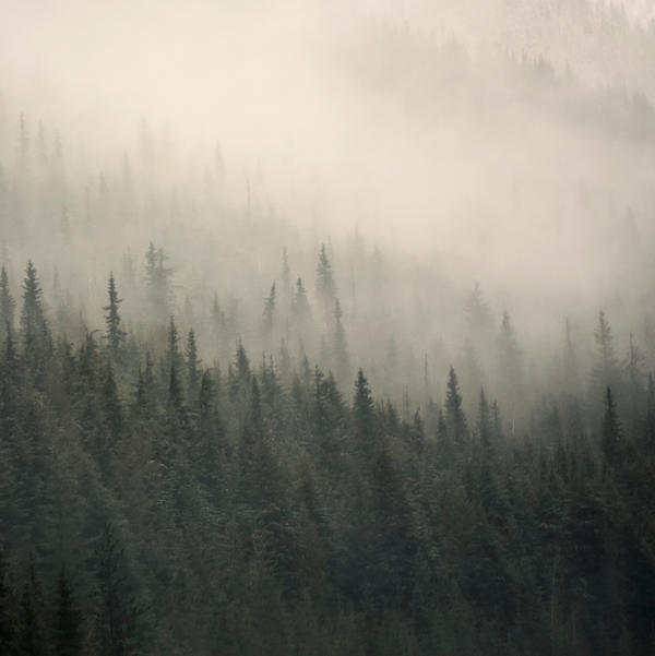 misty mountain weather 12