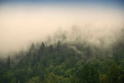 misty mountain weather 18