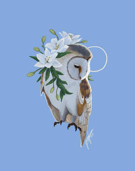 Barn owl with lilies