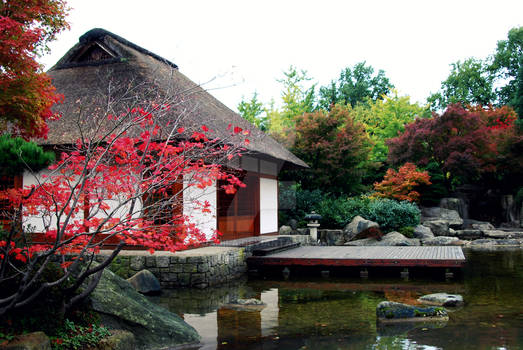 Japanese Garden