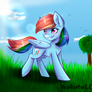 Rainbow Dash in the field