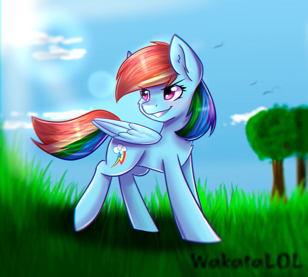 Rainbow Dash in the field