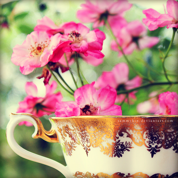 Teacup and Primroses