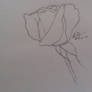 Single Rose