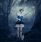 Alice in Wonderland by VillyBilly