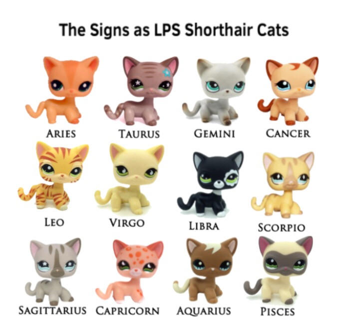 Zodiac Signs as LPS Shorthair Cats by Jammergg07 on DeviantArt