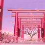 Torii Gate Sakura dark pink