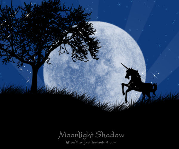 Moonlight Shadow Example Moonlight Shadow by Tarqoui on DeviantArt