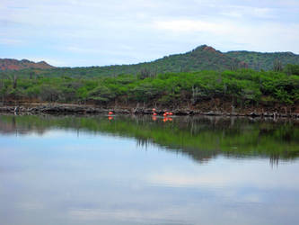 Gotomeer, Bonaire