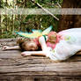 Even Fairies Sleep....