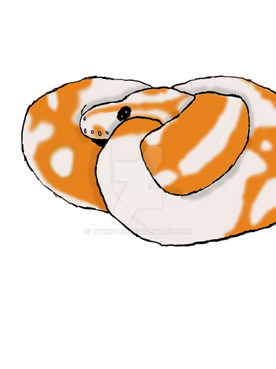 Ball Python by trxxster on DeviantArt