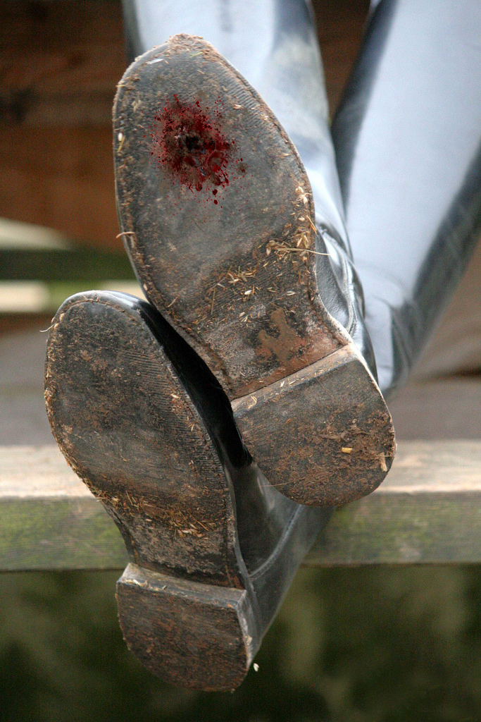 Boot Crush Rabbit Crushed Beneath Her Riding Boots by GiantessPics on DeviantArt