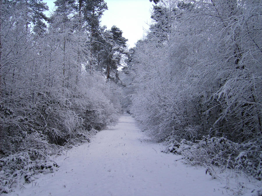 The Endless Path by GuardianOfTheRose on DeviantArt