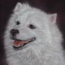 Dog Pastel 'Mac'