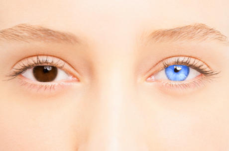 The Chemical Garden Trilogy Wither Rhine S Eyes By Triodowntotwo