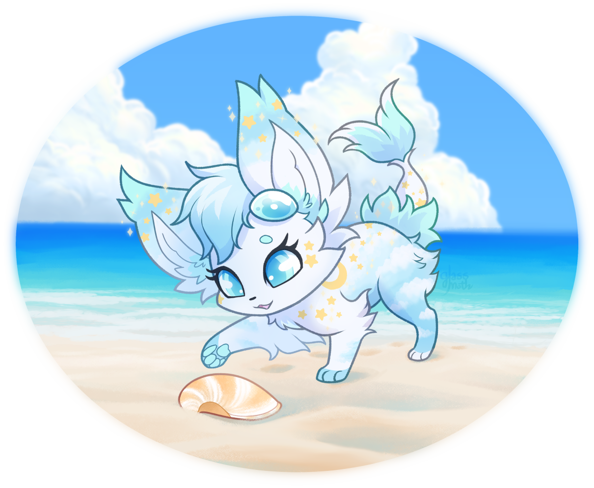 Shell Collecting