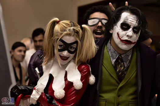 The Joker and Harley Quinn love