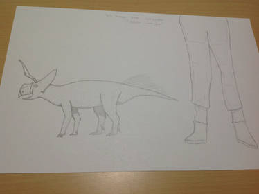 Daily Dinosaur #494 - Ischioceratops, Ischium Horn