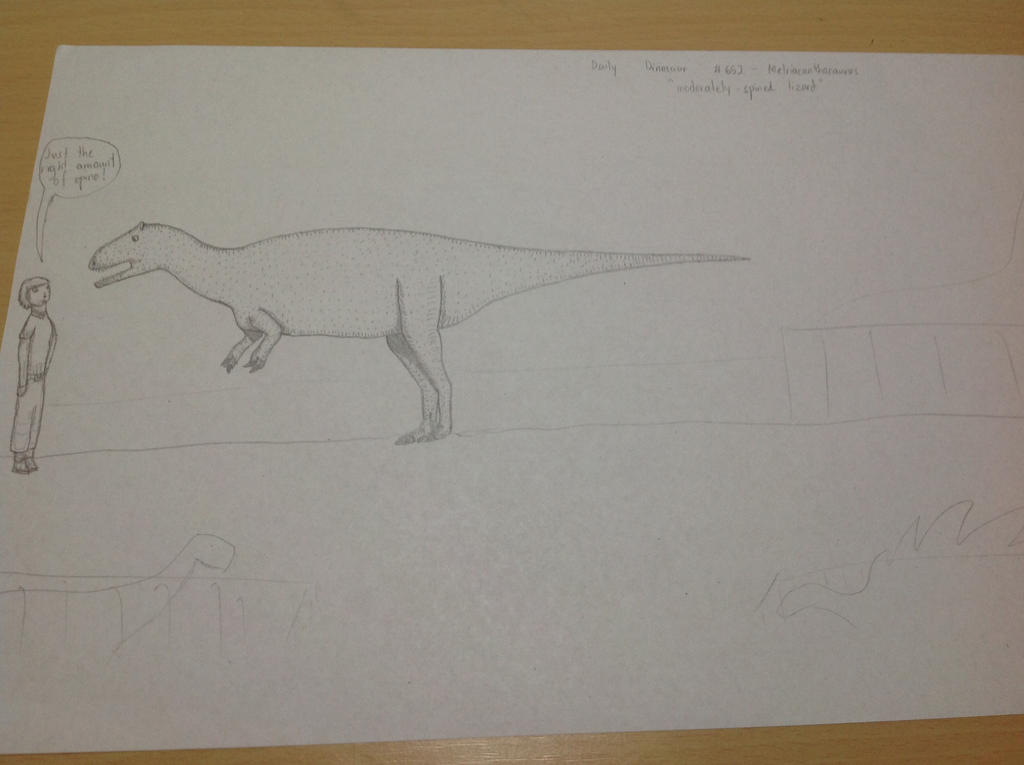 Metrisaurus Drawing Daily Dinosaur #652 - Metriacanthosaurus by Atlantis536 on DeviantArt