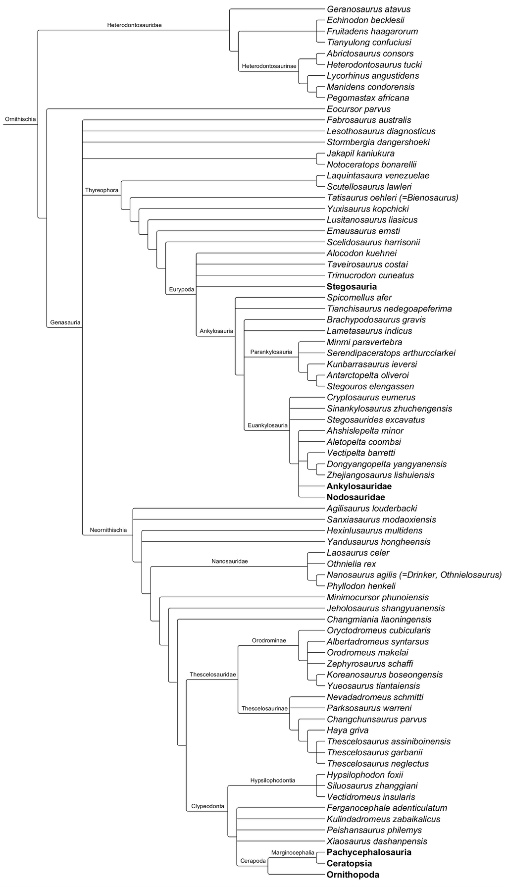 Cladogram of Ornithischia by Atlantis536 on DeviantArt