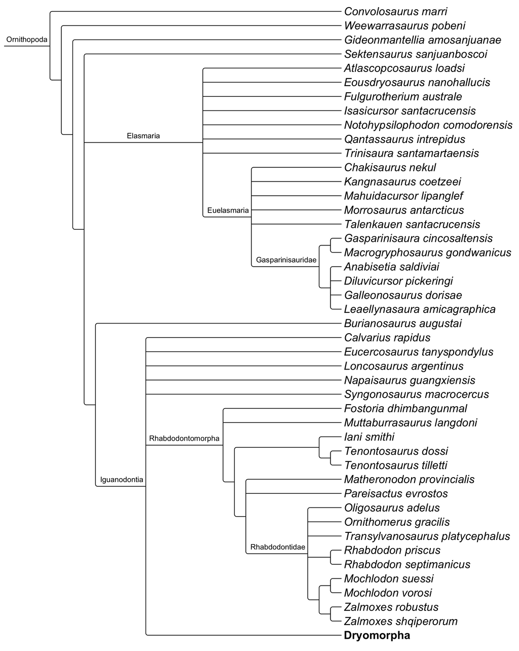 Cladogram of Ornithopoda by Atlantis536 on DeviantArt