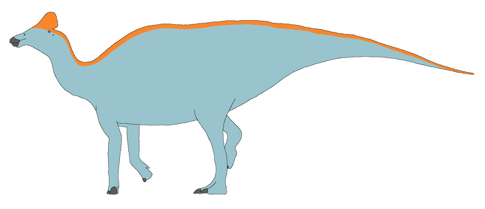 Amurosaurus (MZP)