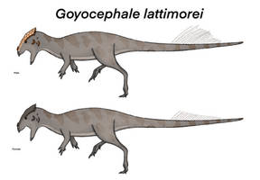Goyocephale lattimorei (Mesozoic Planet)