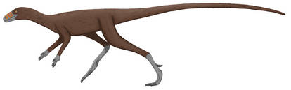 Nyasasaurus parringtoni