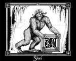 Yeti by felixxkatt