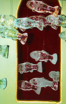 Glass Fish