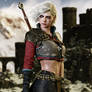 Ciri the Witcher