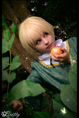 Hetalia England - Through the woods