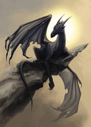 Black dragon