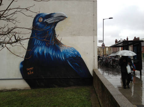 Prtichards Road Crow. Hackney. London.