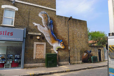 Portland Road Squirrel. Seven Sisters. London by Boe-art