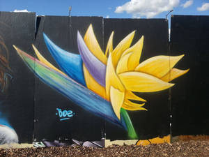 Overground Paint Jam - Bird of Paradise Flower