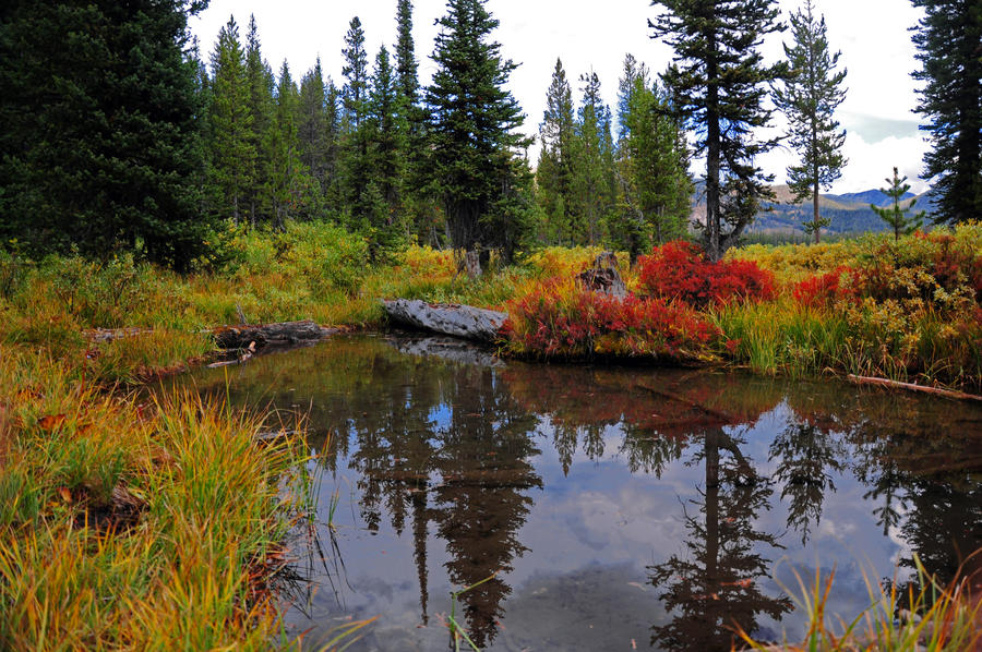 The Stillness of Fall