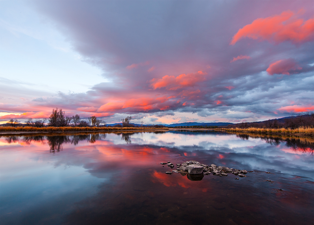 Cotton Candy Sunset