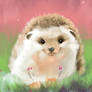 DAILY PAINT :  Little Hedgehog  #62