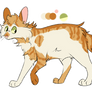 cat adoptable (closed)